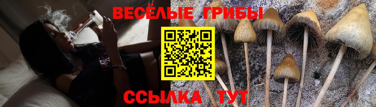 Галлюциногенные грибы мухоморы  Вход с VPN  Волгоград 
